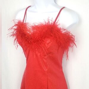 Red Feather Trim Dress